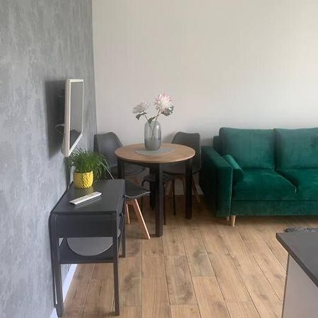 Uroczy Apartament W Centrum Sandomierza Sandomir Extérieur photo